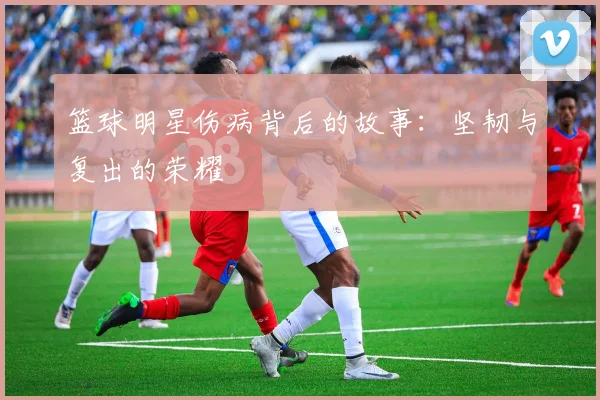 篮球明星伤病背后的故事：坚韧与复出的荣耀