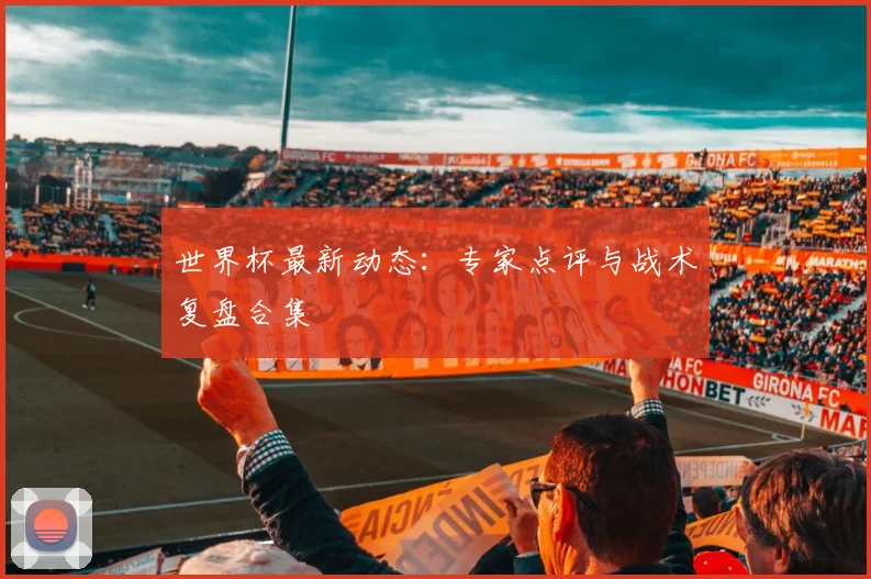 世界杯最新动态：专家点评与战术复盘合集